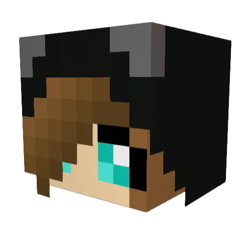 DrMeta Minecraft avatar head, 3D render