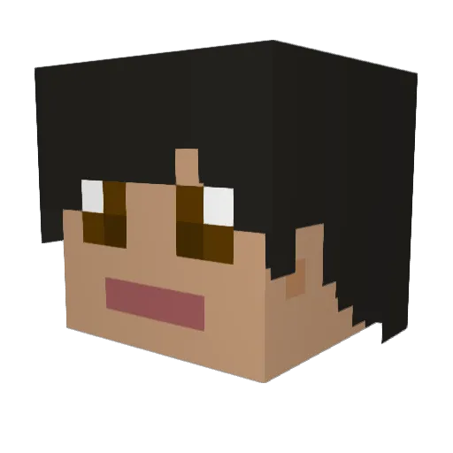 DrMinecraft05 Minecraft avatar head, 3D render