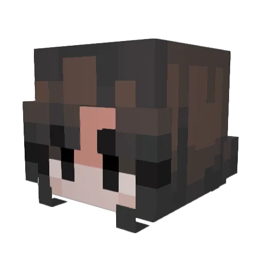 DrMirae Minecraft avatar head, 3D render