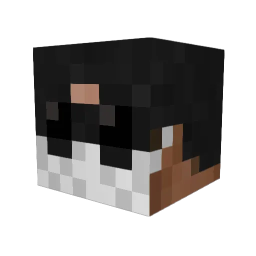 DrMomake Minecraft avatar head, 3D render