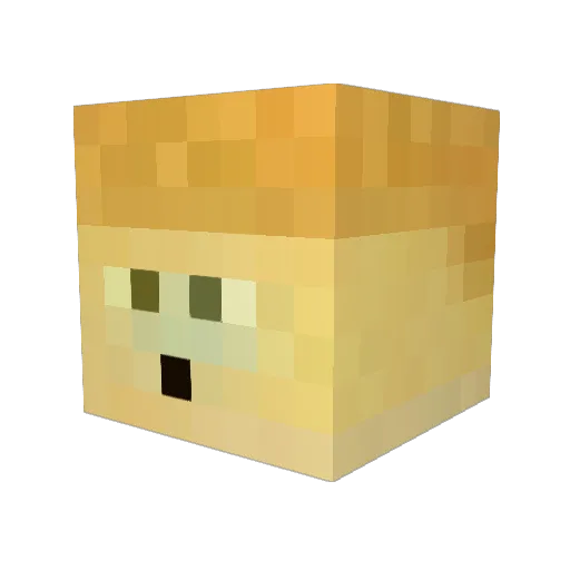 DrMoonSparkle Minecraft avatar head, 3D render