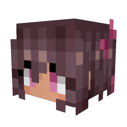 DrMrBones_ Minecraft avatar head, 3D render