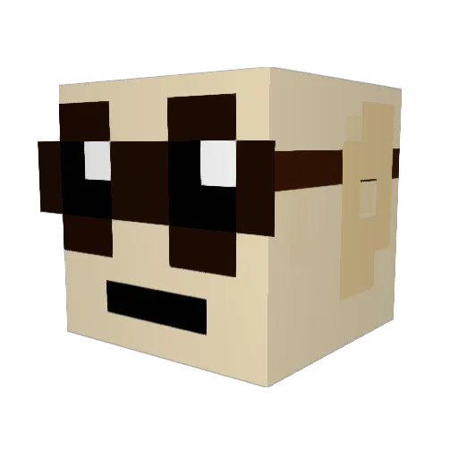 DrNefario Minecraft avatar head, 3D render