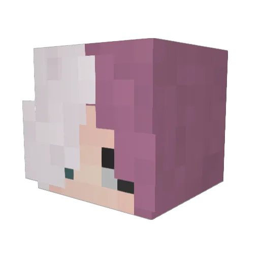 DrNevi Minecraft avatar head, 3D render