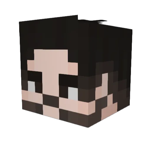 DrNokla Minecraft avatar head, 3D render