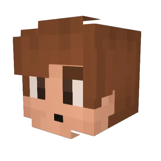 DrNormie Minecraft avatar head, 3D render