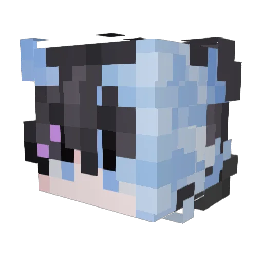 DrObsession Minecraft avatar head, 3D render