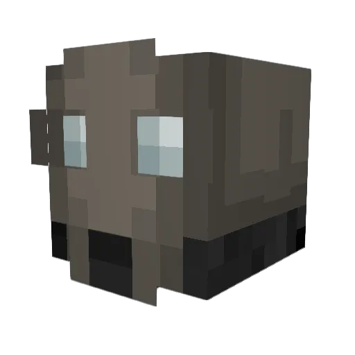 DrOcDocMan02 Minecraft avatar head, 3D render