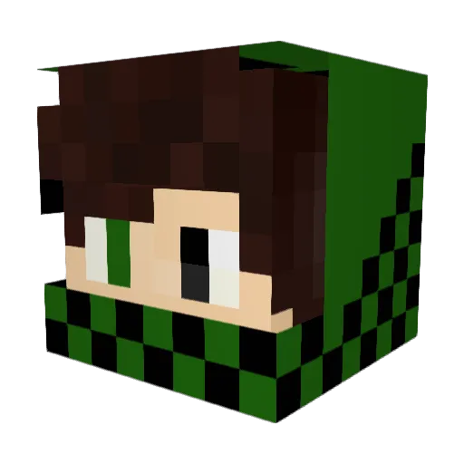 DrOctoganapus8 Minecraft avatar head, 3D render