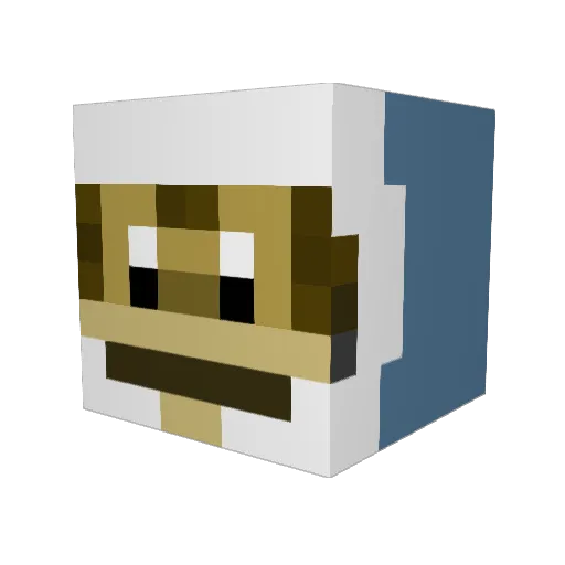 DrPandaW Minecraft avatar head, 3D render