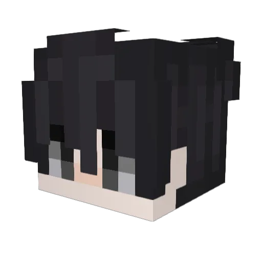 DrPanduu Minecraft avatar head, 3D render