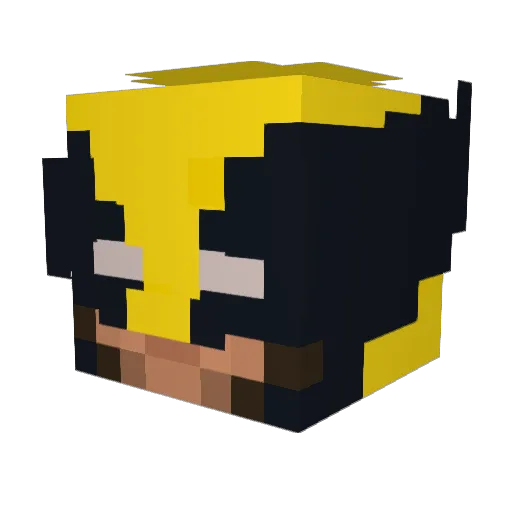 DrPaperBag Minecraft avatar head, 3D render