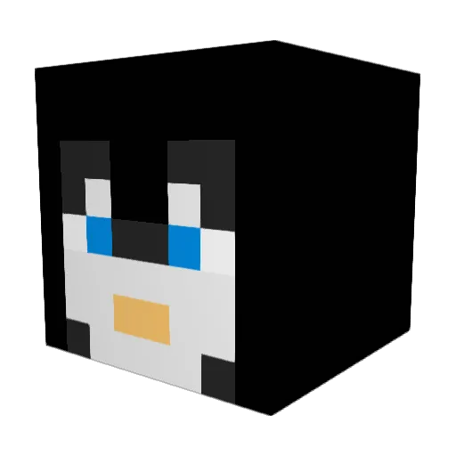 DrPenguin347 Minecraft avatar head, 3D render