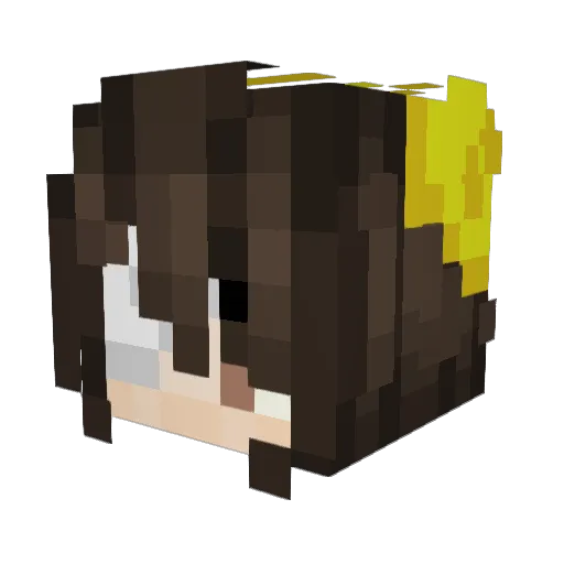 DrPepper321 Minecraft avatar head, 3D render