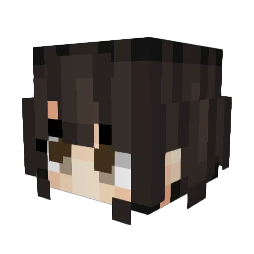 DrPepperFan22 Minecraft avatar head, 3D render