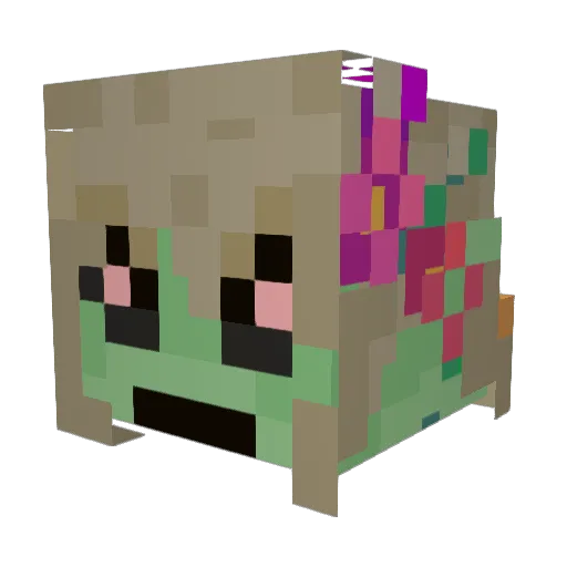 DrPete420 Minecraft avatar head, 3D render