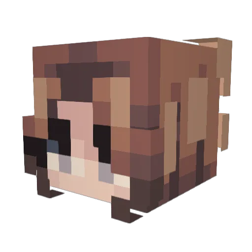 DrPhoebe Minecraft avatar head, 3D render