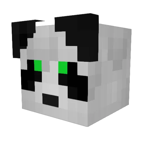 DrPickle17 Minecraft avatar head, 3D render