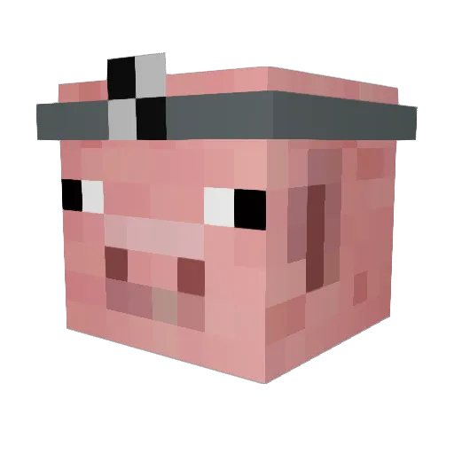 DrPig1999 Minecraft avatar head, 3D render