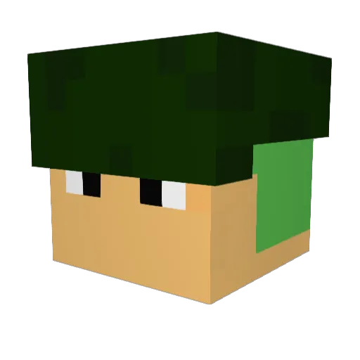 DrPineapple032 Minecraft avatar head, 3D render
