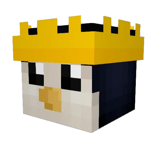 DrPinguinos Minecraft avatar head, 3D render