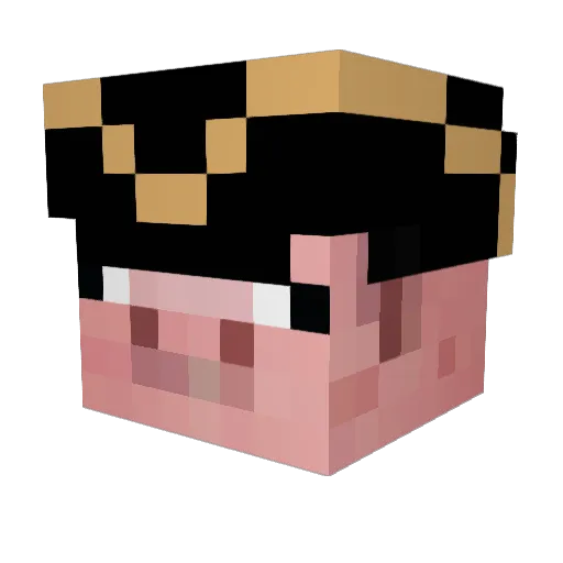 DrRad11 Minecraft avatar head, 3D render