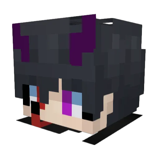 DrRandom_ Minecraft avatar head, 3D render