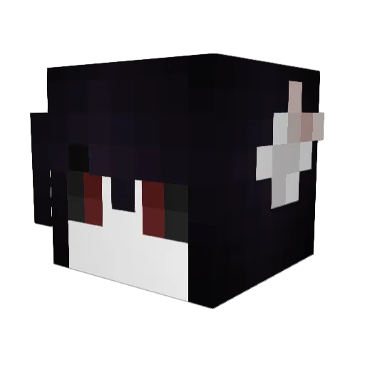 DrRaven44 Minecraft avatar head, 3D render