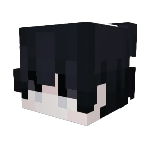 DrRey Minecraft avatar head, 3D render