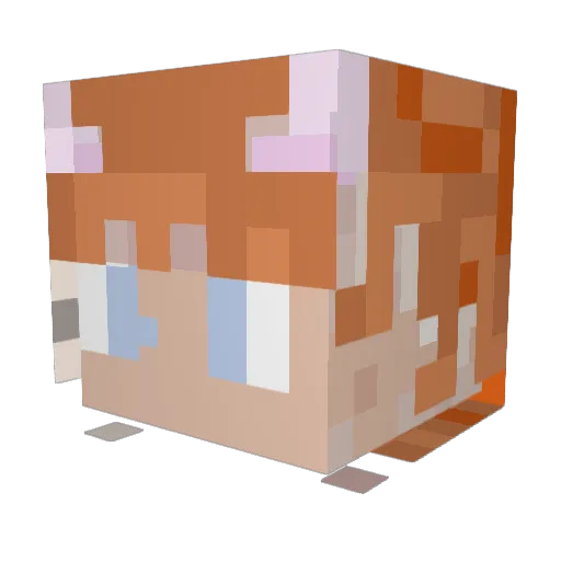 DrRhiRon Minecraft avatar head, 3D render