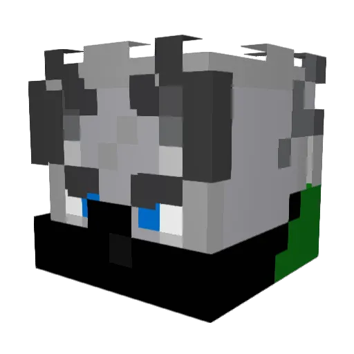 DrRin Minecraft avatar head, 3D render