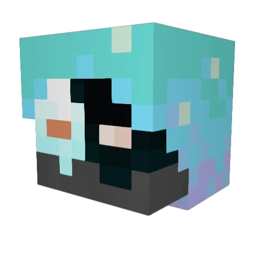 DrRman25 Minecraft avatar head, 3D render