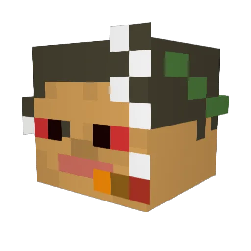 DrRog0 Minecraft avatar head, 3D render