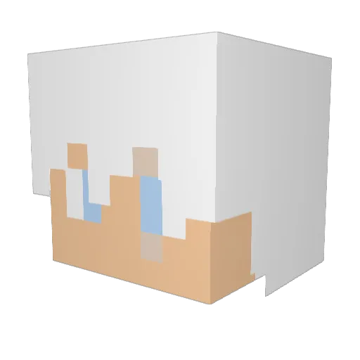DrRose5844 Minecraft avatar head, 3D render
