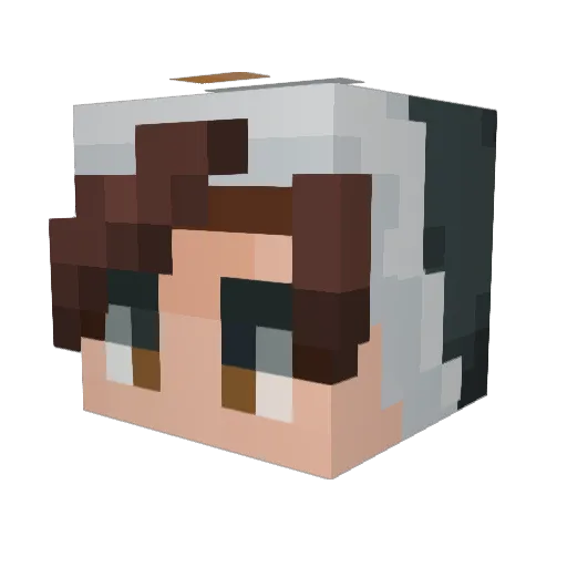 DrRueth Minecraft avatar head, 3D render