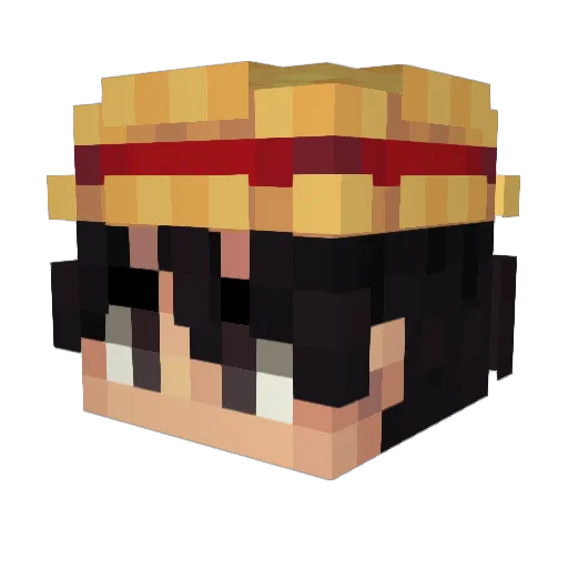 DrRyters Minecraft avatar head, 3D render