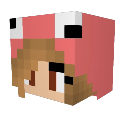 DrSIime Minecraft avatar head, 3D render