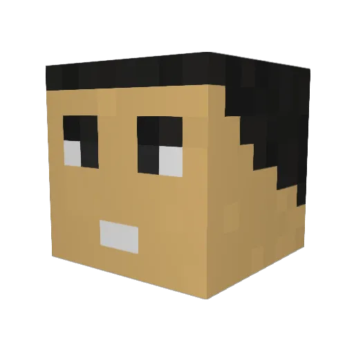 DrSardjoe Minecraft avatar head, 3D render