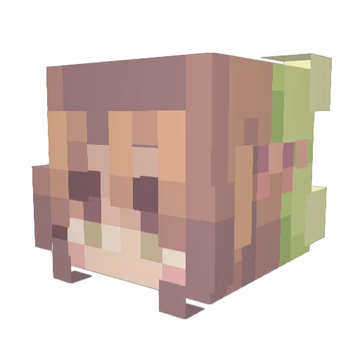 DrScootyBooty Minecraft avatar head, 3D render
