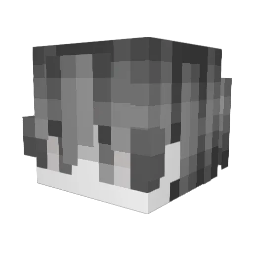 DrSeall Minecraft avatar head, 3D render