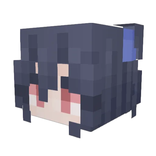 DrShapaya Minecraft avatar head, 3D render
