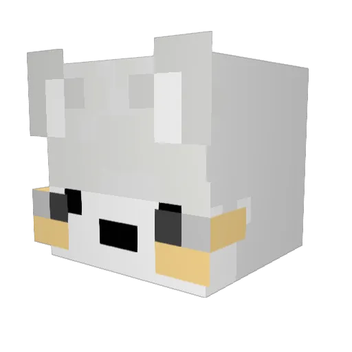 DrShefu Minecraft avatar head, 3D render