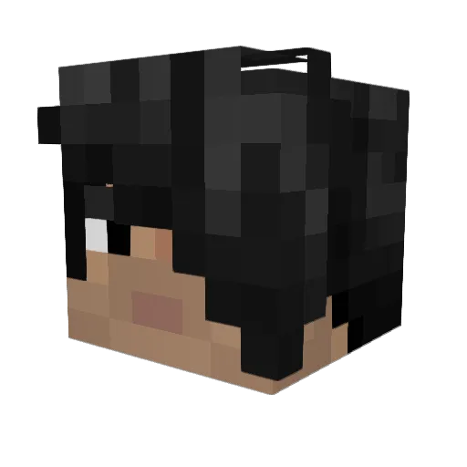 DrShisha Minecraft avatar head, 3D render