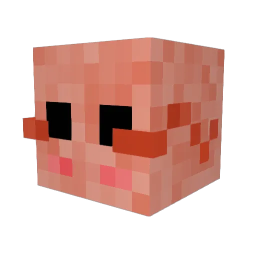 DrShrimpy_ Minecraft avatar head, 3D render