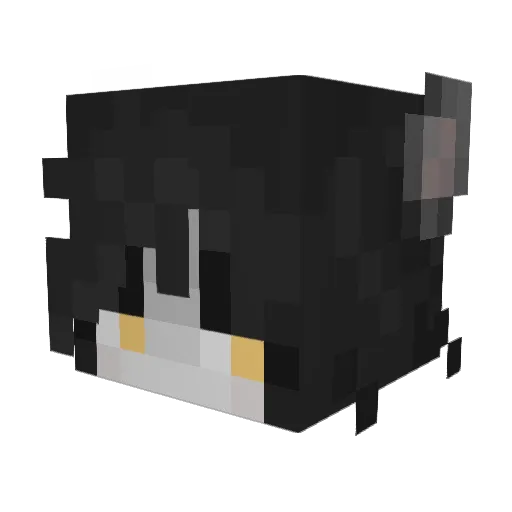 DrSillyeon Minecraft avatar head, 3D render