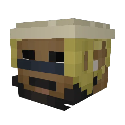 DrSimp6969 Minecraft avatar head, 3D render