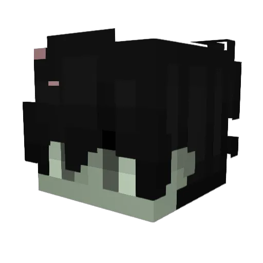 DrSkully_ Minecraft avatar head, 3D render