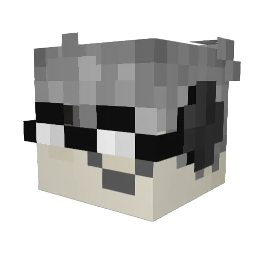 DrSnoozy Minecraft avatar head, 3D render