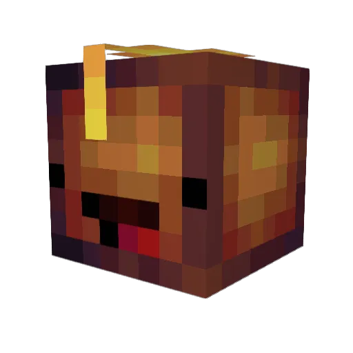 DrSnowyy Minecraft avatar head, 3D render