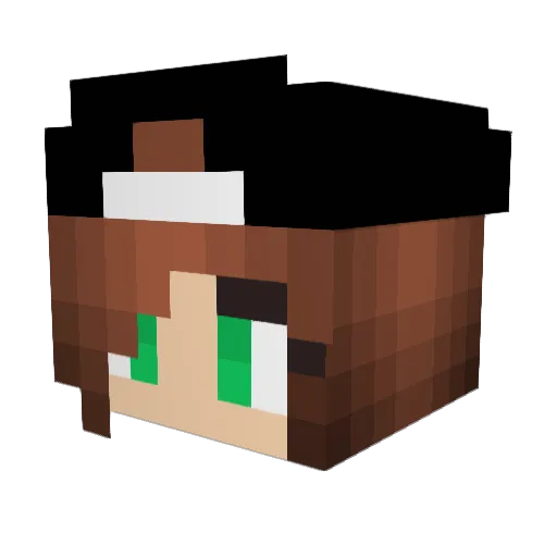 DrSpiff Minecraft avatar head, 3D render